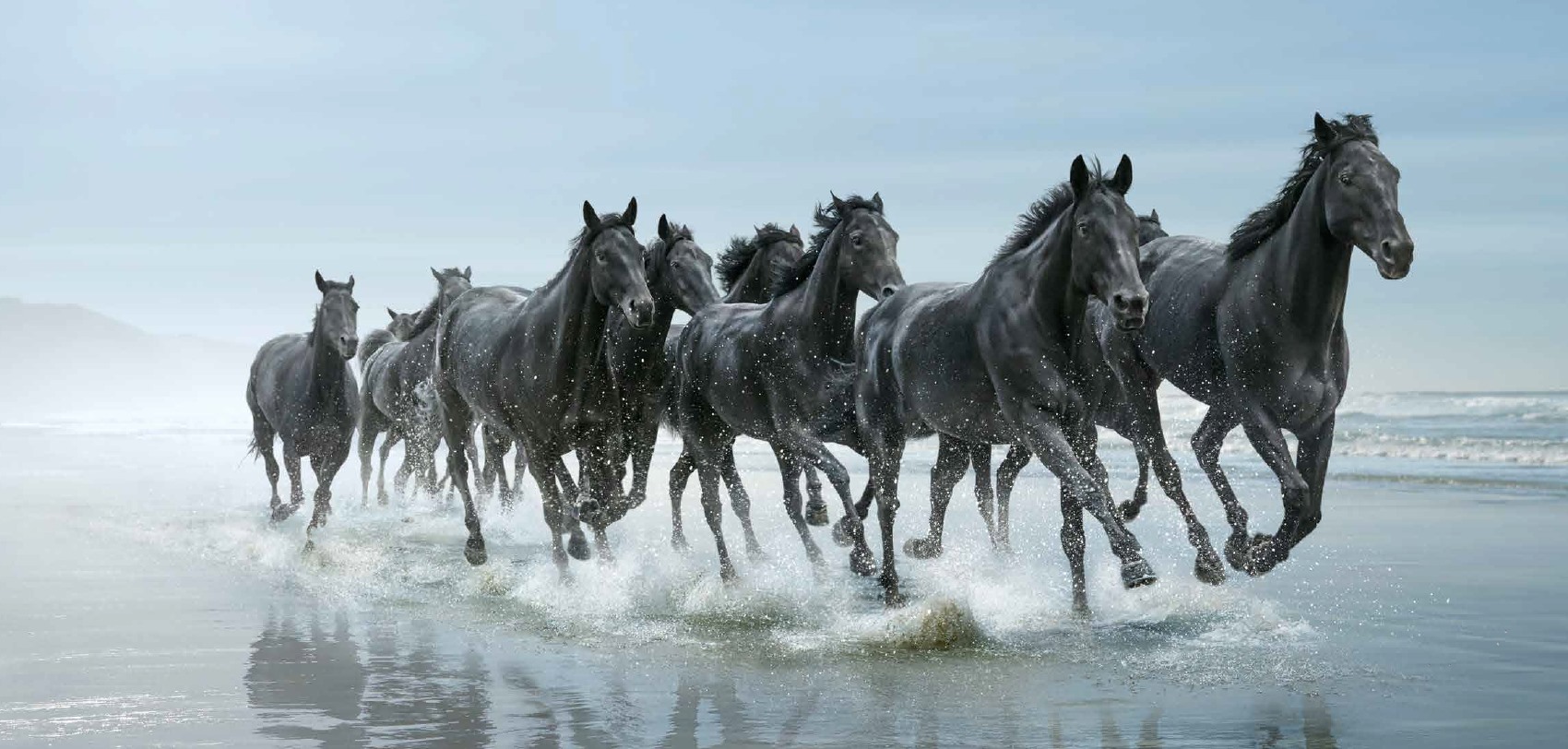 The Running of the Horses (Lloyds Bank Commercial)